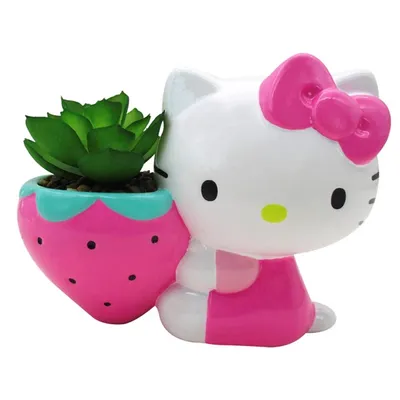 Hello Kitty Berry Planter 