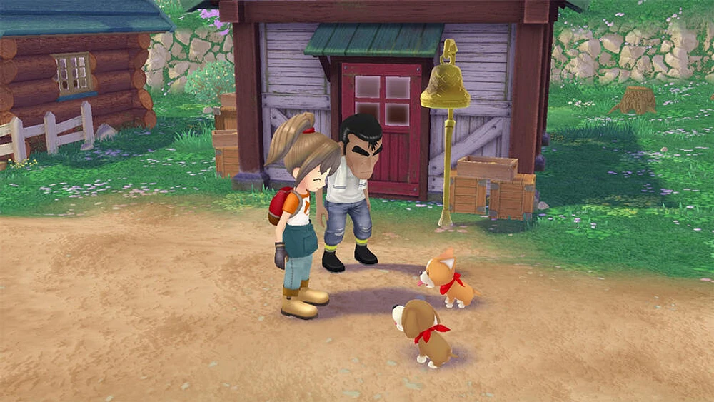 Story of Seasons a Wonderful Life | Premium Edition 