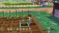 Story of Seasons a Wonderful Life | Premium Edition 