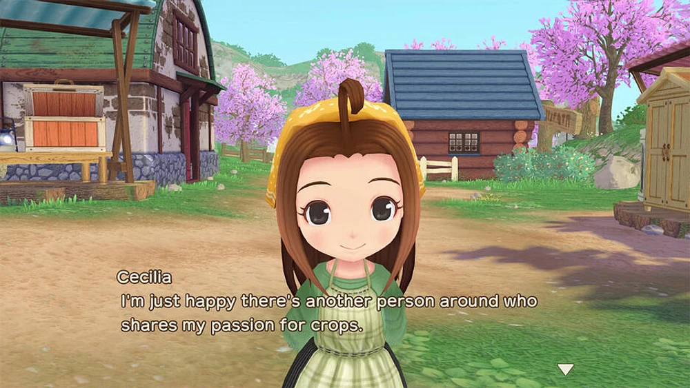 Story of Seasons a Wonderful Life | Premium Edition 