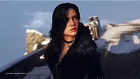Witcher 3 Wild Hunt