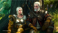 Witcher 3 Wild Hunt
