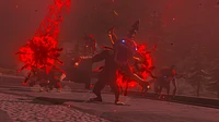 the Legend of Zelda: Tears Kingdom