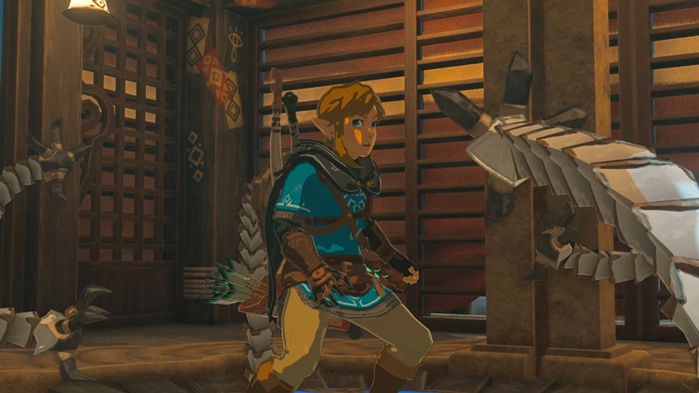 the Legend of Zelda: Tears Kingdom