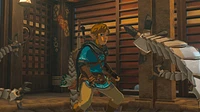 the Legend of Zelda: Tears Kingdom