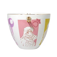 Sailor Moon Rainbow Ramen Bowl 