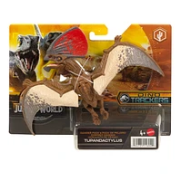 Jurassic World: Dino Trackers - Danger Pack Assortment – One Variation Chosen at Random