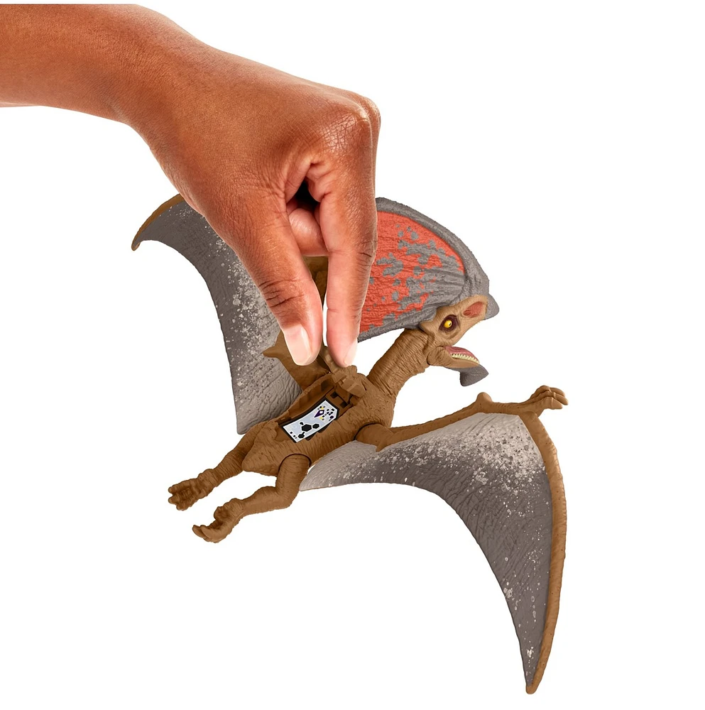 Jurassic World: Dino Trackers - Danger Pack Assortment – One Variation Chosen at Random