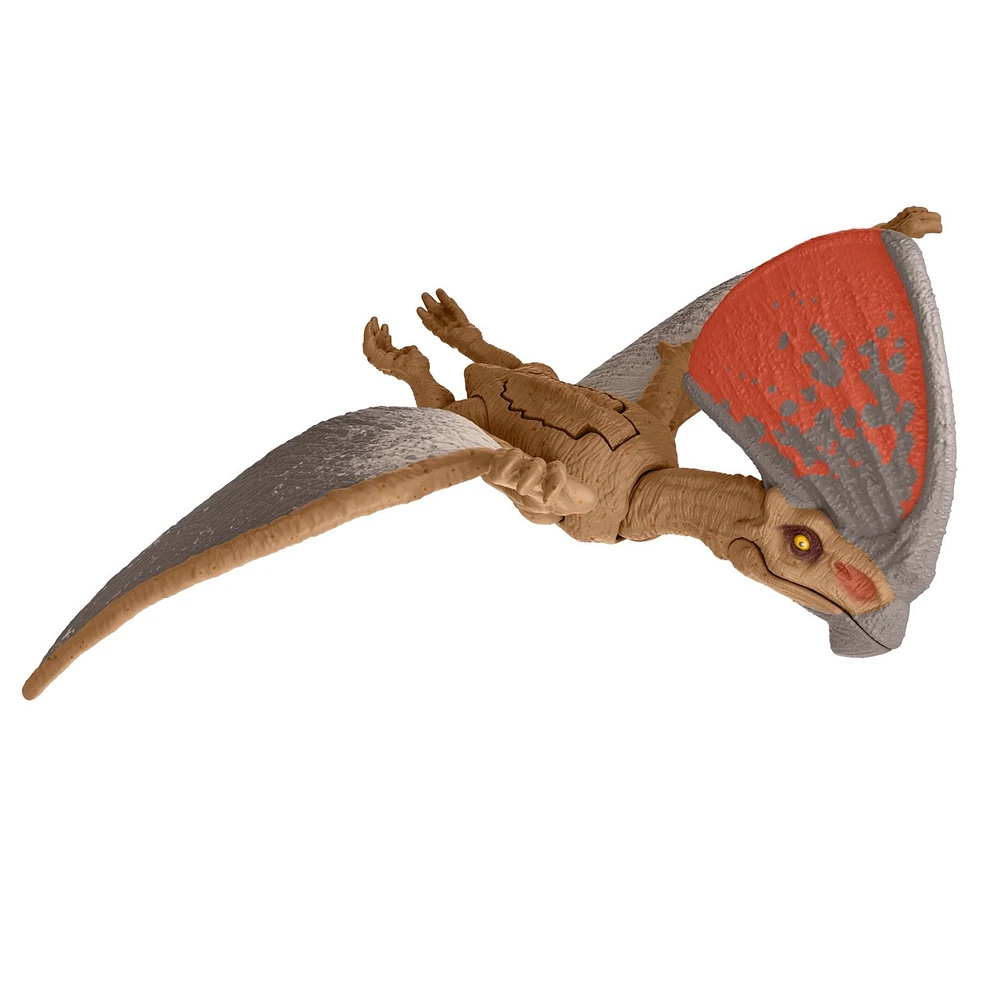Jurassic World: Dino Trackers - Danger Pack Assortment – One Variation Chosen at Random