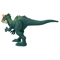 Jurassic World: Dino Trackers - Danger Pack Assortment – One Variation Chosen at Random