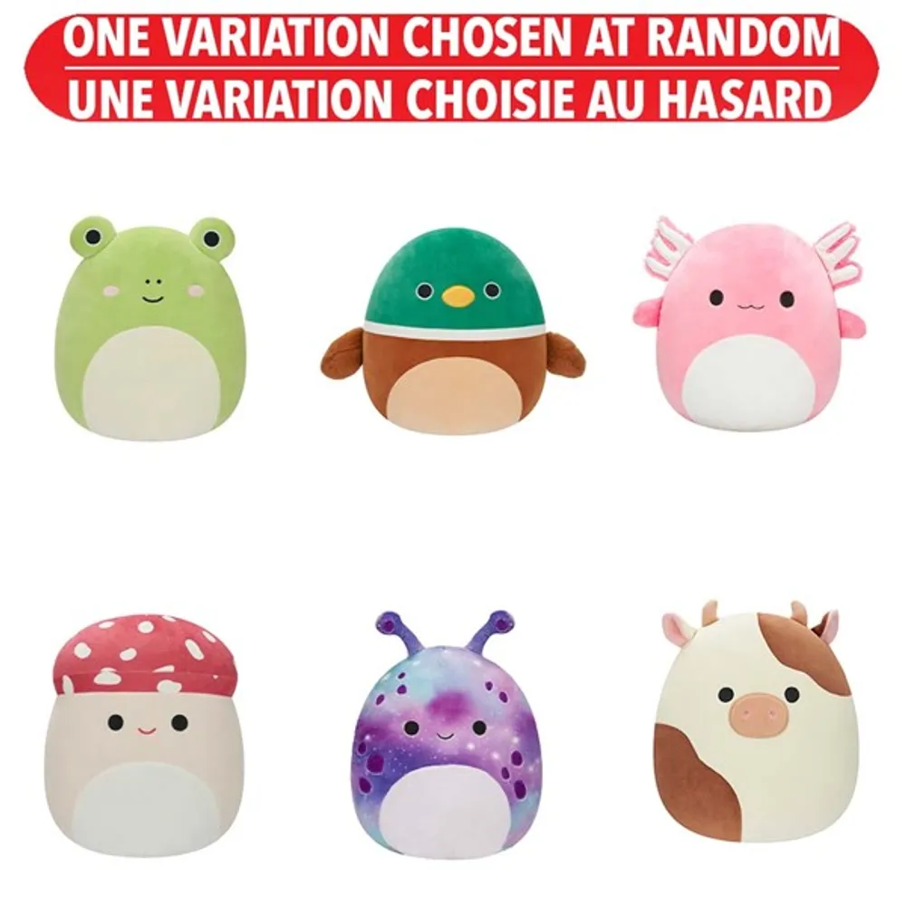 Squishmallows 12” Phase 17 Assorted – One Variation Chosen at Random