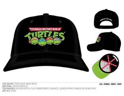 Teenage Mutant Ninja Turtles- Retro Logo Black Hat 