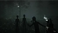 Greyhill Incident Abducted Edition