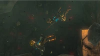 Legend of Zelda Tears of the Kingdom - Numérique