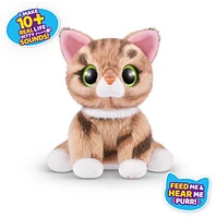 Zuru Pets Alive: Smitten Kitten – One Variation Chosen at Random