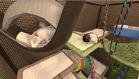 House Flipper Pet Edition