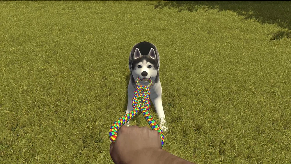 House Flipper Pet Edition
