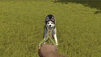 House Flipper Pet Edition