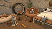 House Flipper Pet Edition