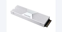 GameStop 2TB SSD with Heatsink PCIe Gen4 NVMe M.2 High-Performance Gaming Solid State Drive for PlayStation 5 and PC
