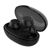 Biogenik Wireless Bluetooth Earbuds with Silicone Ear Tips and Mic - Black 