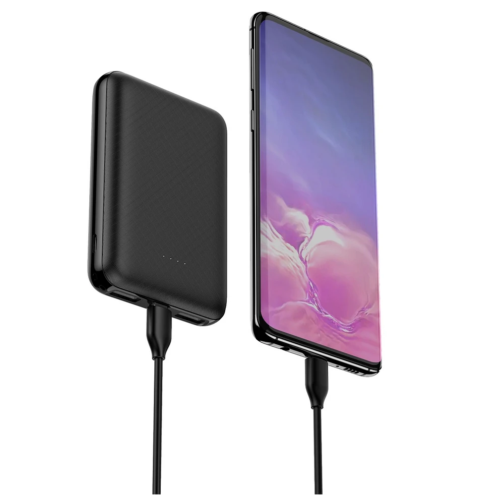 Biogenik 10,000 mAh Portable Battery Pack 
