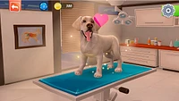 Animal Hospital 