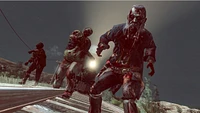 Red Dead Redemption