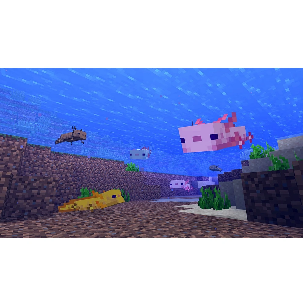 Minecraft + 3500 Minecoins