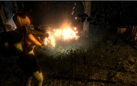 Outbreak Collection 2