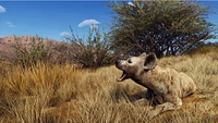 Way of the Hunter - Hunting Season One (Series X Only)
