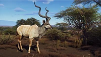 Way of the Hunter - Hunting Season One (Series X Only)