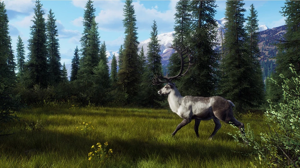 Way of the Hunter - Hunting Season One (Series X Only)