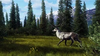 Way of the Hunter - Hunting Season One (Series X Only)