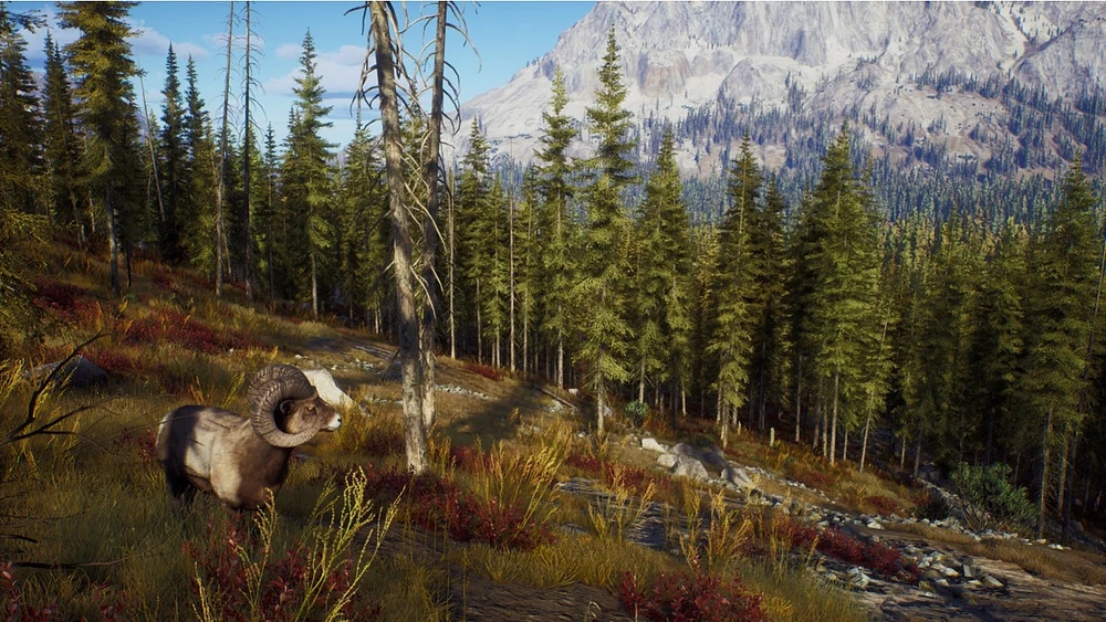 Way of the Hunter - Hunting Season One (Series X Only)