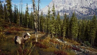 Way of the Hunter - Hunting Season One (Series X Only)