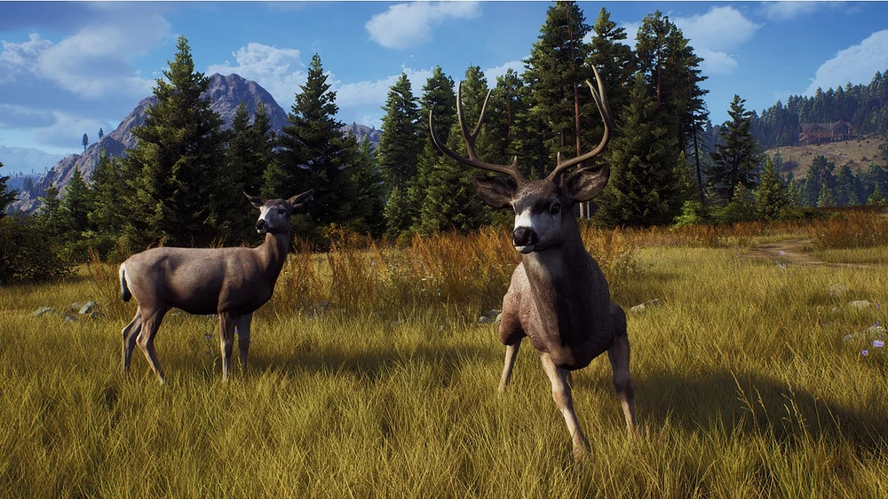 Way of the Hunter - Hunting Season One (Series X Only)