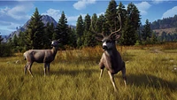 Way of the Hunter - Hunting Season One (Series X Only)