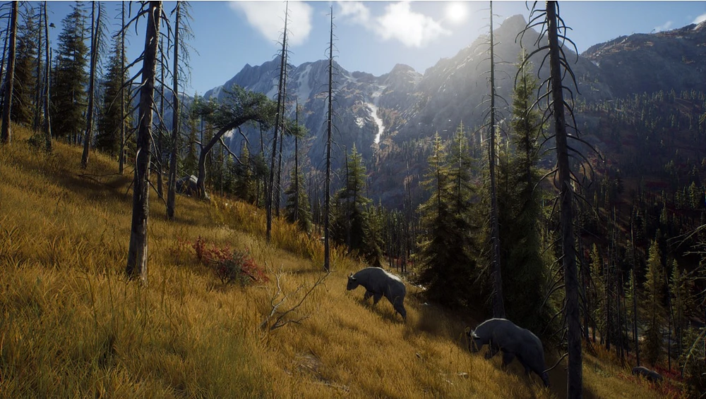 Way of the Hunter - Hunting Season One (Series X Only)