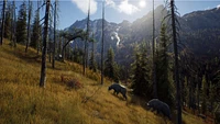 Way of the Hunter - Hunting Season One (Series X Only)