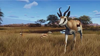 Way of the Hunter - Hunting Season One (Series X Only)