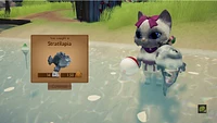 Whisker Waters
