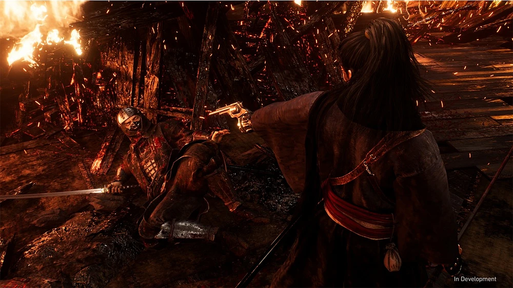 Rise of the Ronin