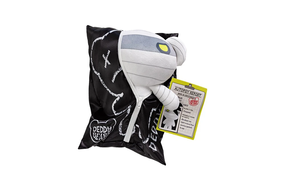 Peluche Deddy Bear 12" dans un sac de transport Assortie – Une variation choisie au hasard