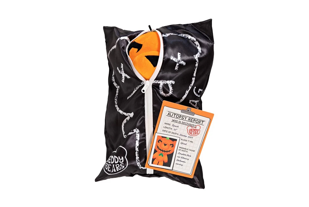 Peluche Deddy Bear 12" dans un sac de transport Assortie – Une variation choisie au hasard