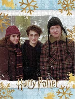Harry Potter™ Puzzle 550 pièces "Christmas at Hogwarts™" 