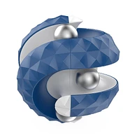 Biogenik Orbit Fidget Toy 