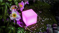 Biogenik LED Rechargeable Light Cube 
