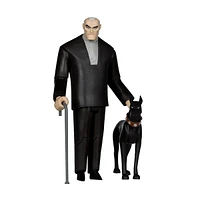 DC Direct Bruce Wayne & Ace (Batman Beyond) 6-Inch Scale Gold Label Figure 