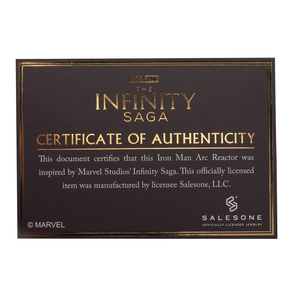 Marvel Studios The Infinity Saga